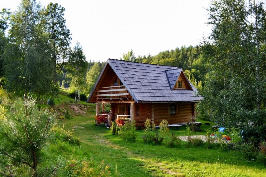 Шале Leśniówka Domki W Karpaczu Карпач